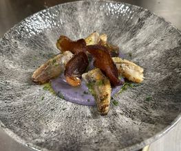 Ristorante Pizzeria Varano Bellinzona Bild 12