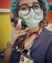 Clinica Veterinaria Leonardo da Vinci immagine 20