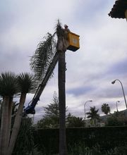 Jardinería Juan García imagen 8