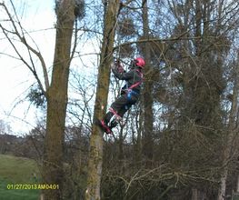 Bouvier Gianni image 12