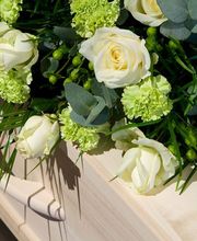 1A Blumen Beck Bild 5
