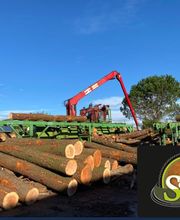 Scierie Bois Sanchez image 8