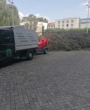 Baumflüsterer Hoffmann Bild 3