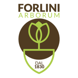 Vivaio Forlini logo