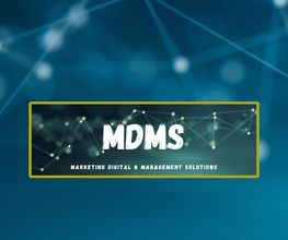 MDMS image 1