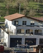 Gass Dienstleistungen GmbH Bild 11