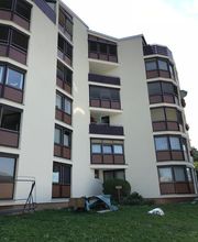Albert Maier GmbH Stuckateurbetrieb Bild 2