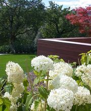 Rothenbühler Gartenbau AG Bild 5