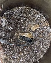 IMG_0059.jpeg