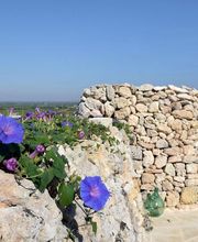 Borgo Monacizzo B&B immagine 13