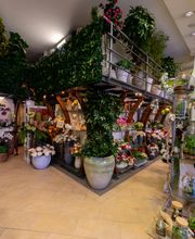Gallery Professionale