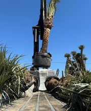 Royal Palm Aix image 20