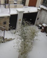 Bordessoule De Bellefeuille Pierre image 7