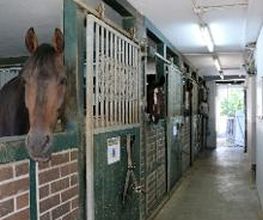 Reitschule Lautlos Bild 11