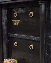 Masalvatella image 2