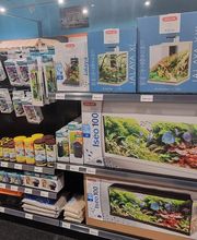 ZOOMALIA Pamiers 09 | Animalerie image 19