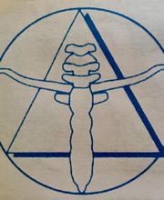 Thibault De Beauregard Pierre image 1