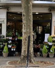 Fleurs Ô Naturel image 4