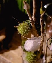 ART NATURAL stucki Bild 7