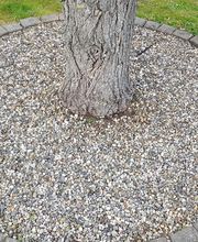 Schäfer Haus- und Gartenservice Bild 11