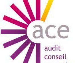 ACE image 1