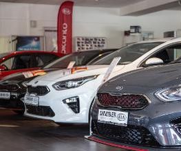 Autohaus Dinnebier Ford/Kia Bild 6