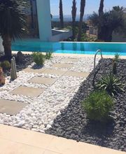 Fantastic Gardens imagen 6