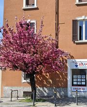 RE/MAX Progress immagine 19