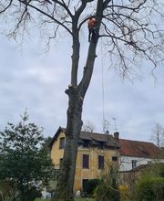 Chassagrande Elagage Fils image 7