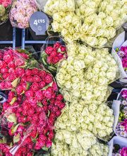 Monceau Fleurs Rocade image 1