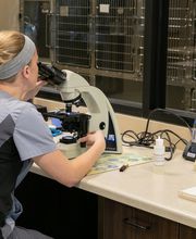 Petersen Pet Hospital image 6