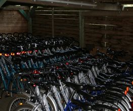 Ferienpark Pelzkuhl Bild 3