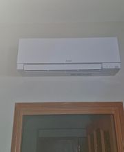 LDM Piumberia image 2