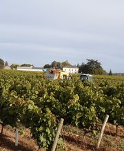 DOMAINE DE L'ÉTÉ ET CHATEAU DES ROCHETTES SCEA CATHERINE NOLOT image 3