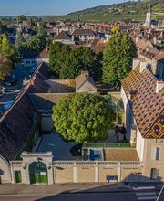 LOUIS BOUILLOT LA VERRIERE image 1