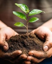 GAMM VERT Gueugnon image 5