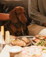 Pet friendly restaurant