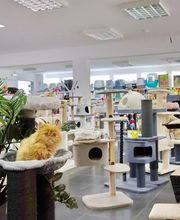 Animal City image 20