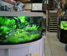 Zoo Stahl Bild 5