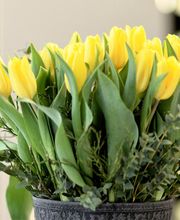 August Portmann AG Bild 2