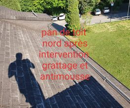 DemousseToit Bild 7