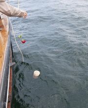 Abschied Bestattungen Bild 3