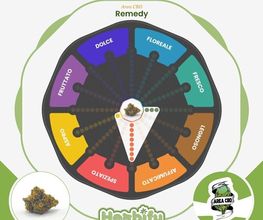 Herbify Cannabis Lovers Delivery immagine 2