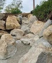 Cambou Lilian TP image 18