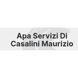 Apa Servizi logo