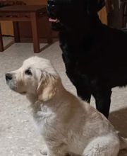 301948469-1-eyzFJJisdV1785154862292.jpeg