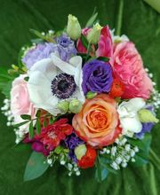 Blumen-Ecke Romana Hoss Bild 8