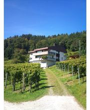 Weingut Sonnenberg Bild 1