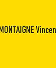 MVM SERVICES image 1