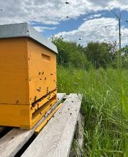 ABEX BAUNER KG Bild 2